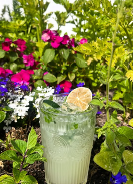 mocktail